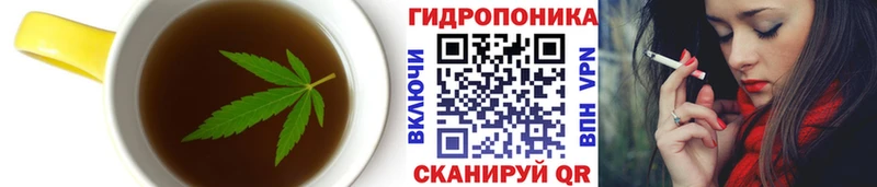 Купить закладки  Сольцы  Cannafood конопля 