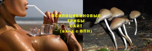 МДПВ Аркадак