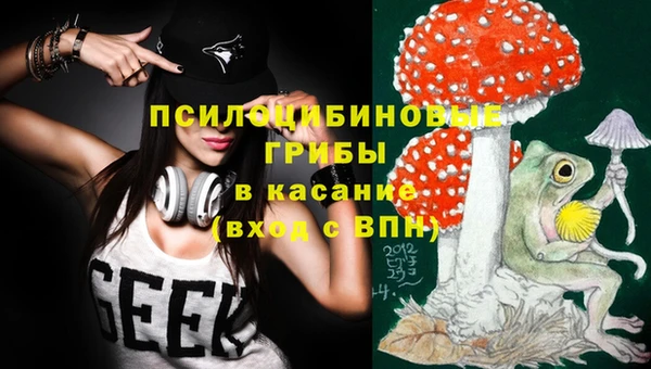 МДПВ Аркадак
