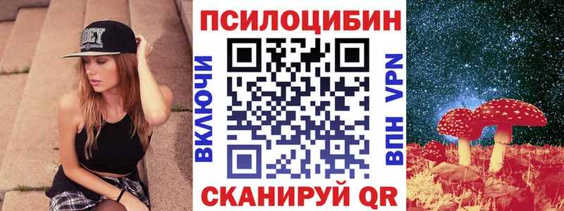 Купить  Сольцы  Псилоцибиновые грибы Cubensis 