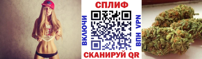 Купить где  Сольцы  Конопля сатива 